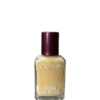 lakme foundation